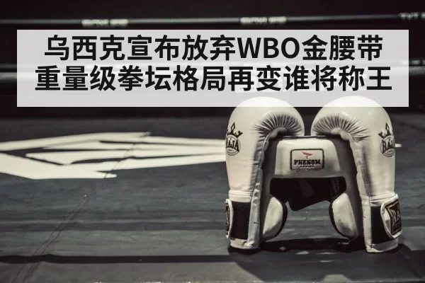 boxing ring gloves